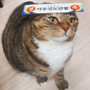 gubaa's Avatar