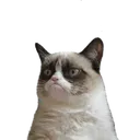 vikarter