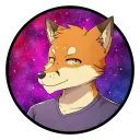 codyf0xx