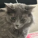 ezzmae