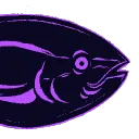 soupy.fish
