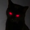 skayko