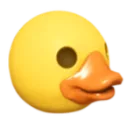captainrducky