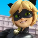 cardcaptorr