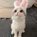suwuccubus.