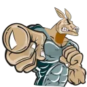 kanga4355