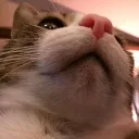 derpy.derp02