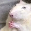 dutchandgamer