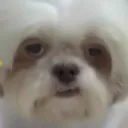 barylon