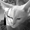 difsbtw