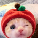 avatar baambo