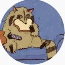 iloveraccoons799