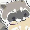 iloveraccoons799