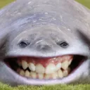 callmemags