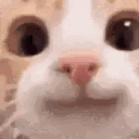 mattyxcs