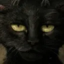 drdoomkitty