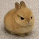 melonax