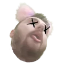holi_soy_leo