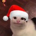 ravigu