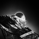 gingerek#0875's avatar