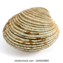 avatar SloppySlopper