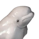 nefariousbonne