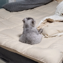 yureka0807#8767's avatar