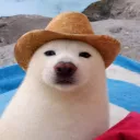 waxtz
