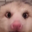 jimmycubano#6090's avatar