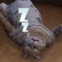.kiki888