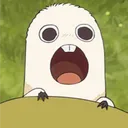 haisy