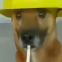 Broc's Avatar