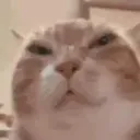 redmasta.
