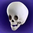 shadient