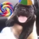 fenou21