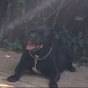 topotp