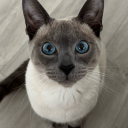 Discord Avatar