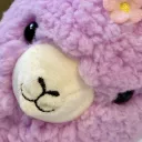 alpacamike
