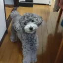 nishimuro