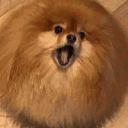 9u6