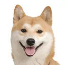 tobi2063