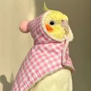 takuccyo