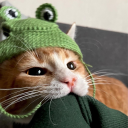 avatar P H I L 新 ドラゴン