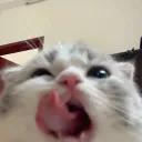 bawnya