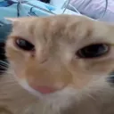 frnkiito