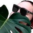 plant.daddy