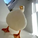 semtimmy