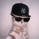 urayzx