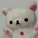 kashicupcake