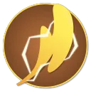 irrwyn